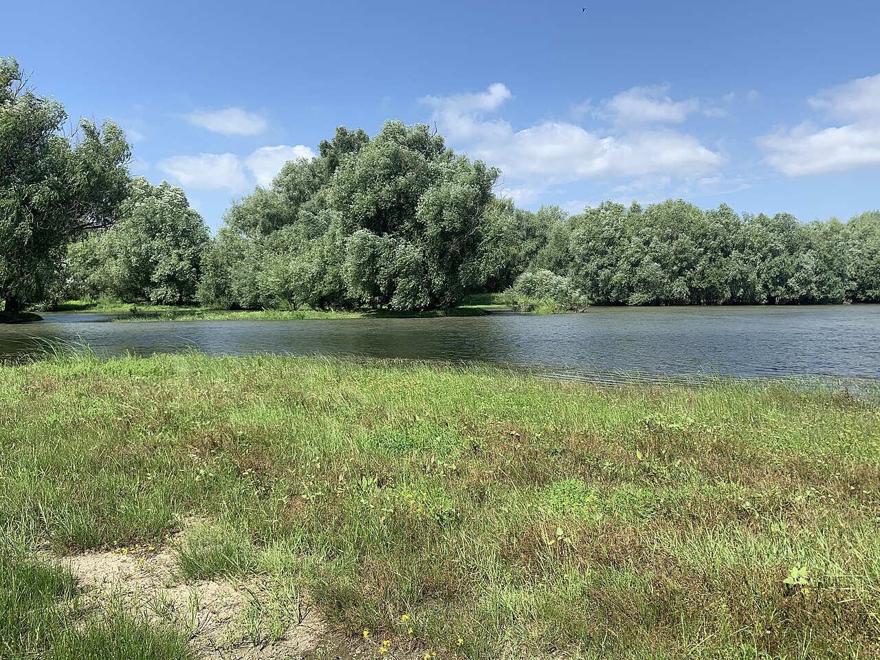 Lacul Beleu, vedere de la mal