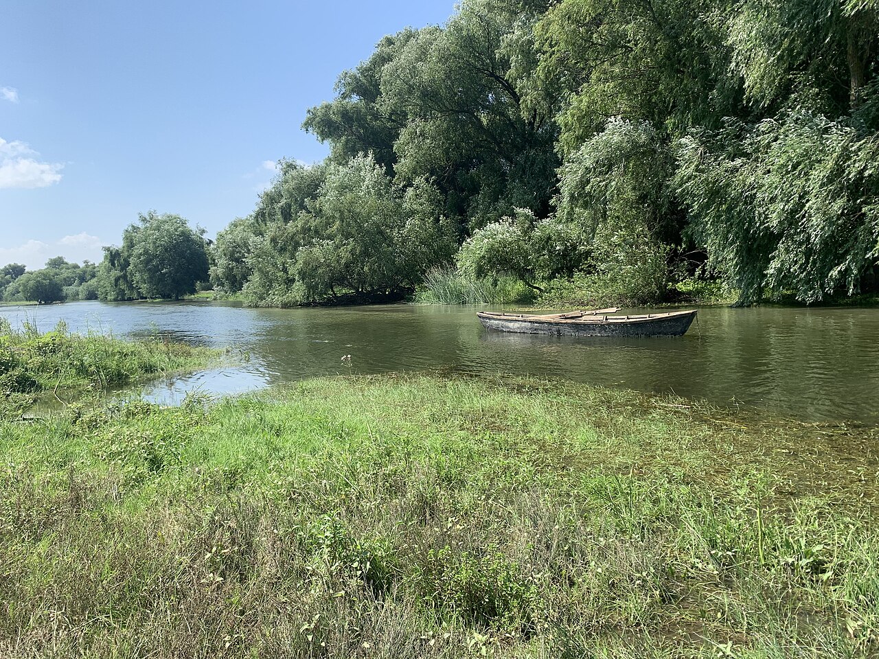 Caiac alunecând pe Lacul Beleu printre stuf